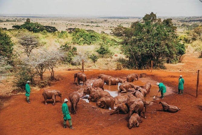 How to Travel Responsibly: Sustainable Tourism in Kenya