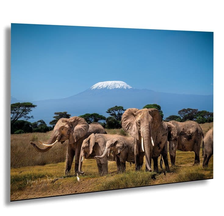 6 Days Tanzania Northern Circuit Safari
