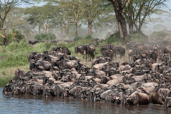 7 Days Ultimate Kenya Safari