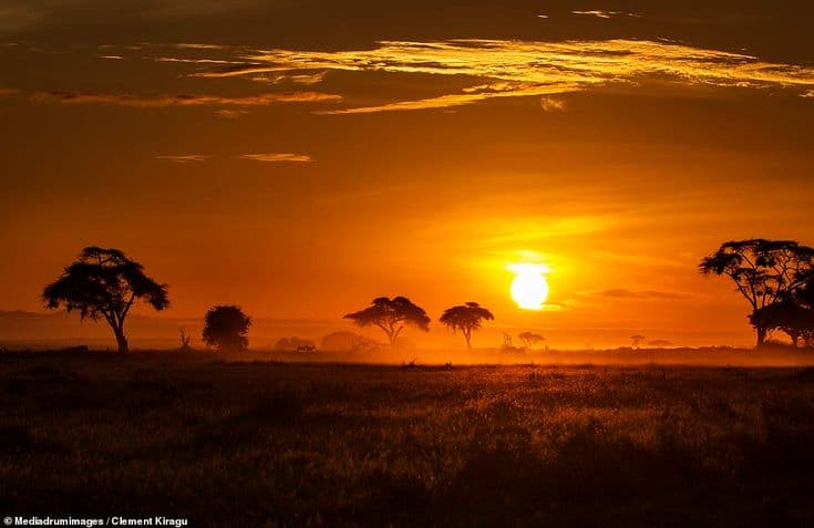 Group safari covering Maasai Mara, Lake Nakuru, Lake Naivasha, and Amboseli