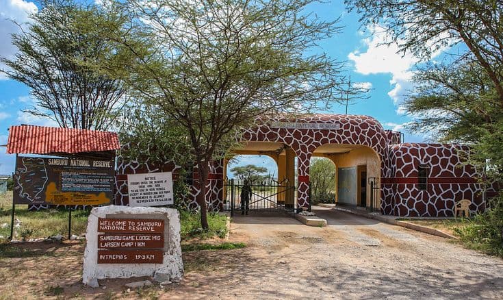 Safari adventure across Kenya's wilderness with expert guides