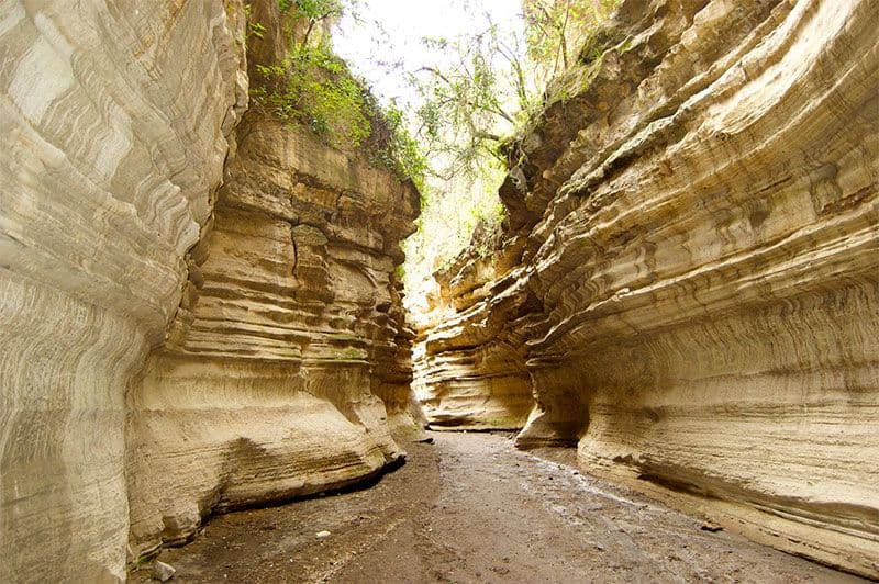 Hells Gate National Park cycling among zebras and giraffes against towering cliffs