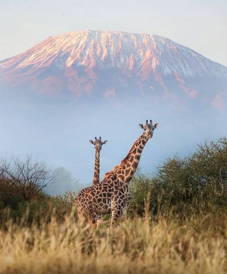 Tanzania Luxury Safari – Serengeti & Ngorongoro