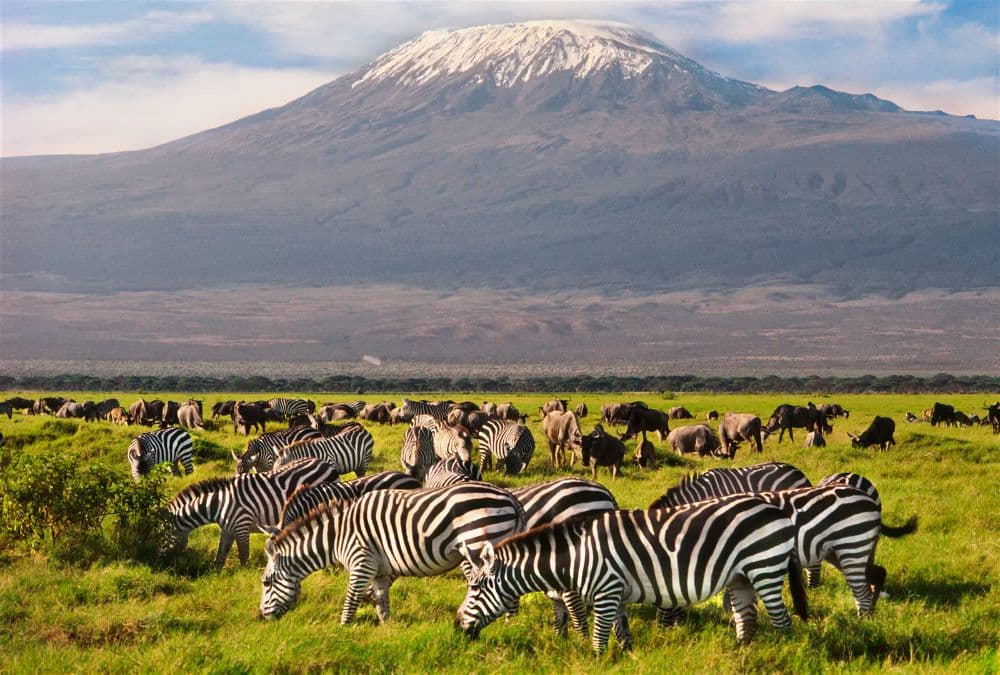 3 Days Amboseli Safari