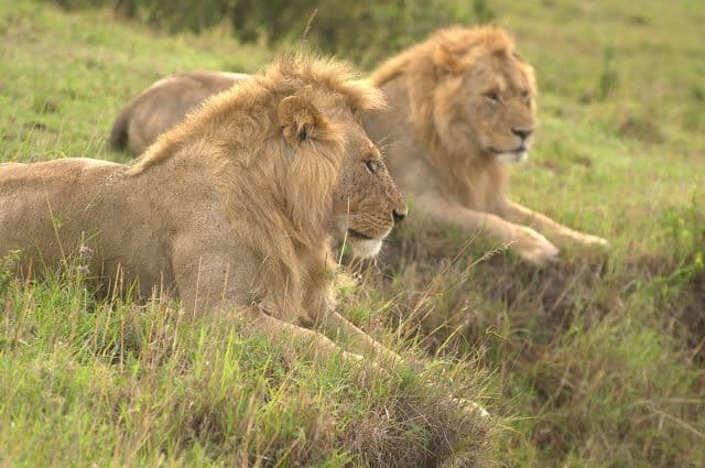 Tarangire National Park
