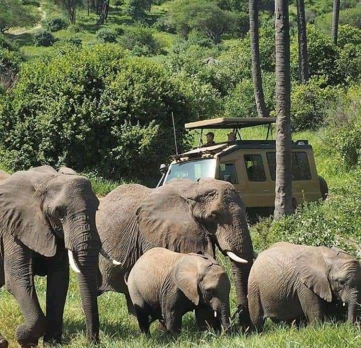 Lake Manyara National Park