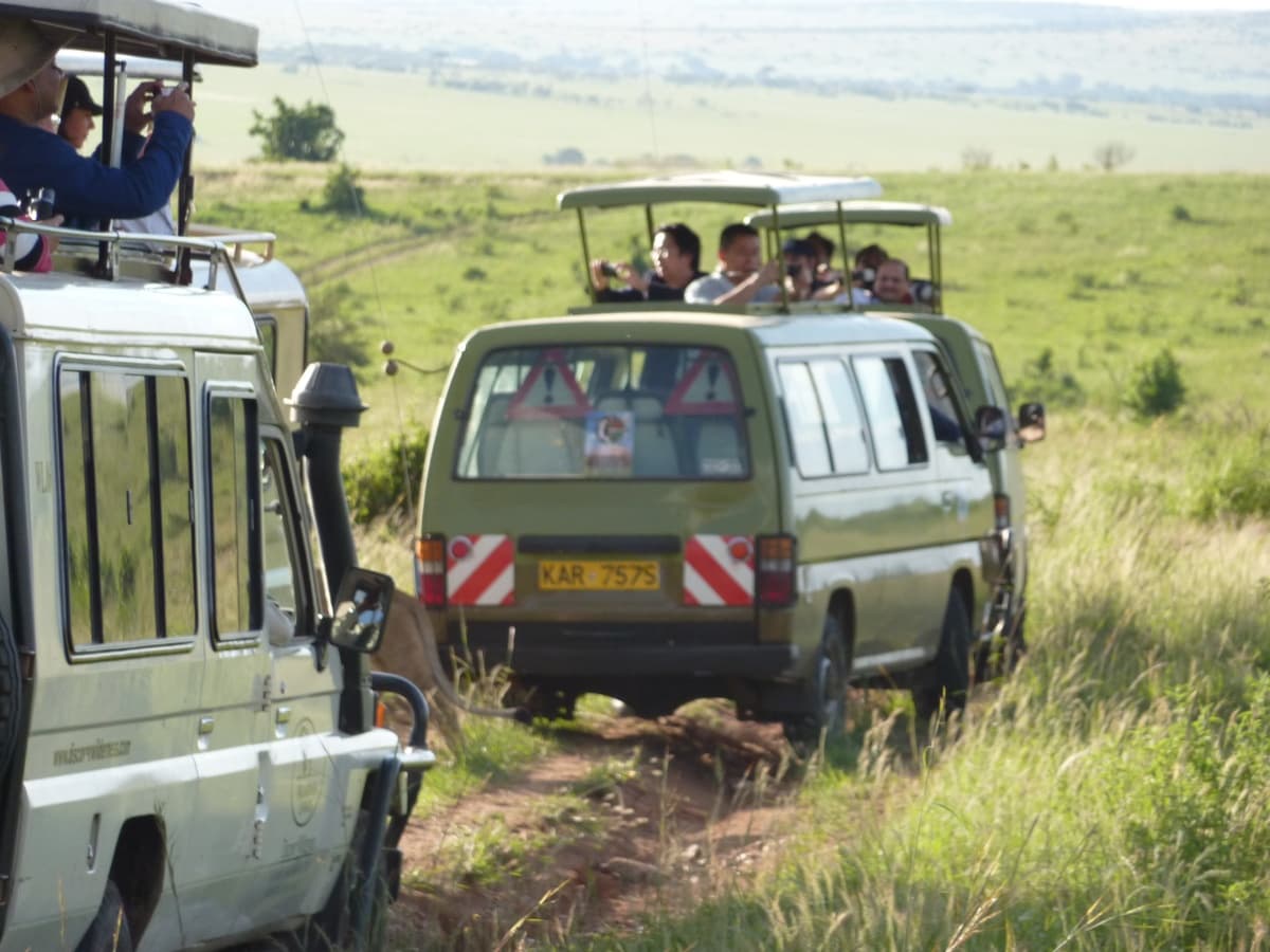 7 days Fly in Amboseli