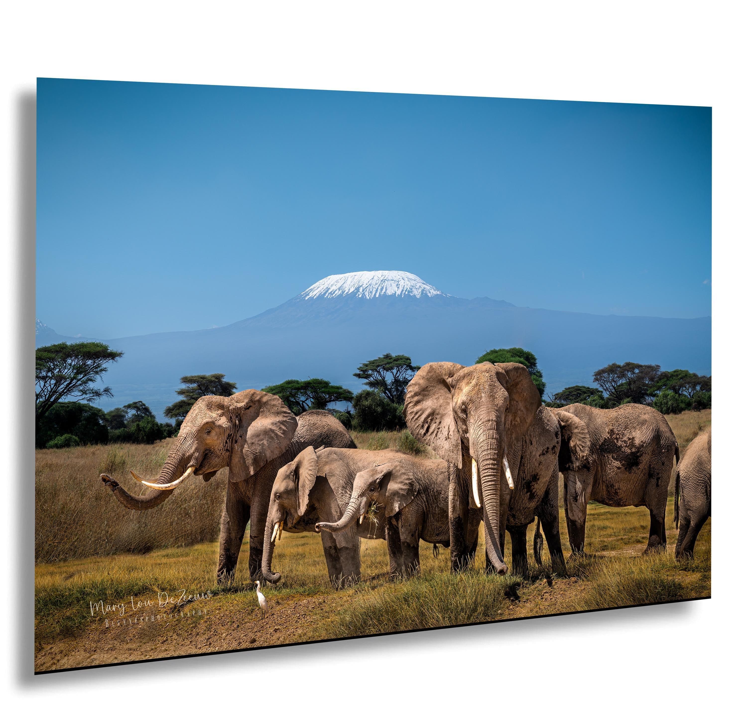 African safari landscape 2