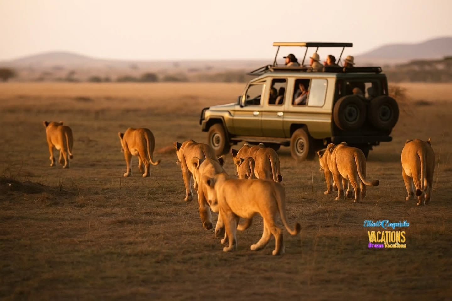African safari landscape 4
